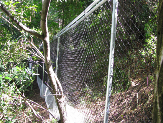 The existing chain link fence was raised to 7' high. The wire is black vinyl and coyote rollers were installed on top. Mesh screen was buried to keep coyotes from digging